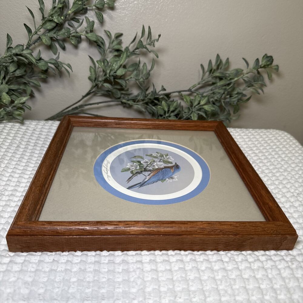 Don Breyfogle Eastern Bluebird Framed Wildlife Print 1988 9.6” x 9.4” Vintage - Picture 9 of 12